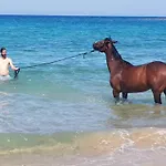 مزرعة للإقامة Stamna Farm