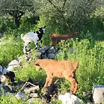Farmház Stamna Farm