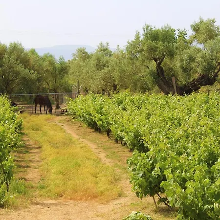 Çiftlik konaklama Stamna Farm *