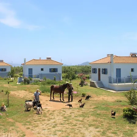 Stamna Farm Romanos (Messenia)