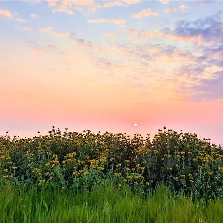 Feriegård Stamna Farm
