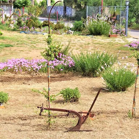 Stamna Farm Romanos (Messenia)