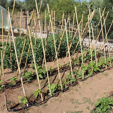 Stamna Farm