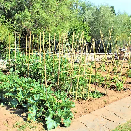 Séjour à la ferme Stamna Farm