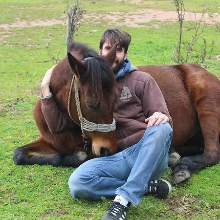 Feriegård Stamna Farm Romanos (Messenia)