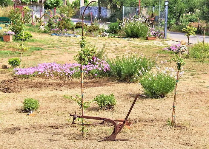 Stamna Farm Romanos (Messenia)