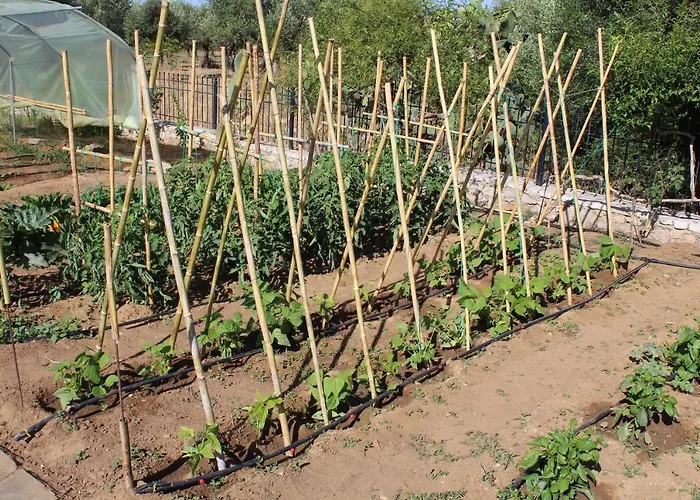 Stamna Farm