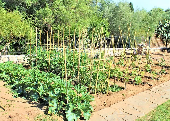 Фермерский дом Stamna Farm
