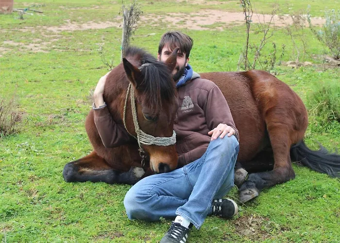 农家乐 Stamna Farm Romanos (Messenia)